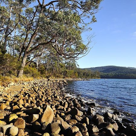 Nrma Port Arthur Holiday Park Ngoại thất bức ảnh