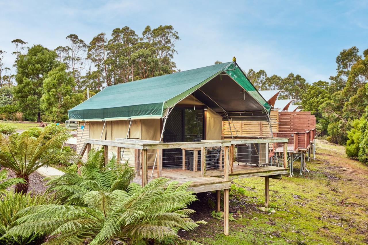 Nrma Port Arthur Holiday Park Ngoại thất bức ảnh